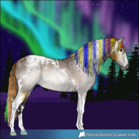 Horse Color:Gray Painted Grullo Tobiano  and Painted Bay Ice Dun Splash Tobiano Rabicano 