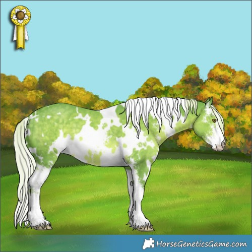 Horse Color:Watercolor White Spotted Chocolate Palomino Sabino 