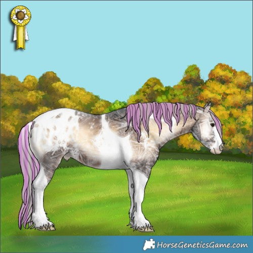 Horse Color:Painted Silver Brown Ice Onyx Sabino Tobiano Appaloosa 