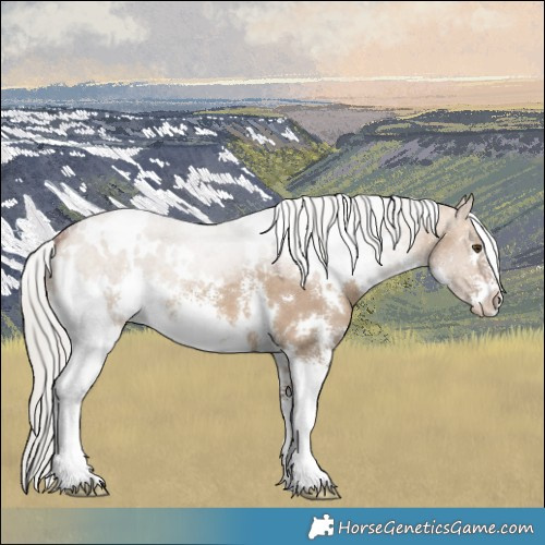 Horse Color:White Spotted Silver Bay Dun Sabino 