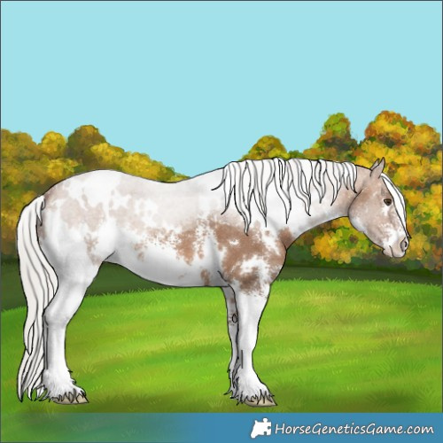 Horse Color:White Spotted Silver Bay Dun Sabino 