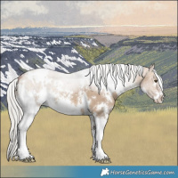 Horse Color:White Spotted Silver Bay Dun Sabino