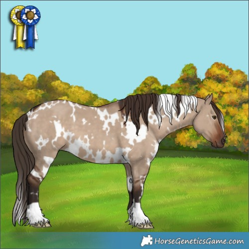Horse Color:White Spotted Liver Red Dun 