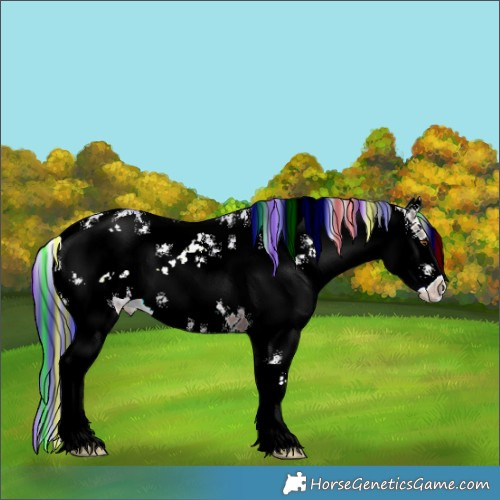 Horse Color:Painted Brown Ice Dun Sabino 