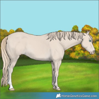 Horse Color:Smoky Creme 