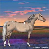 Horse Color:Silver Brown Dun Tobiano 