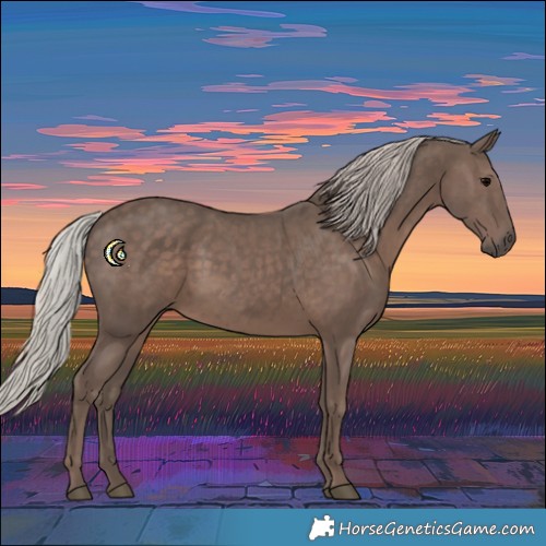 Horse Color:Silver Black 