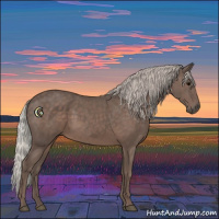 Horse Color:Silver Black