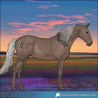 Horse Color:Silver Black 