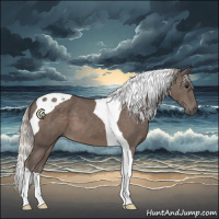 Horse Color:Silver Black Tobiano