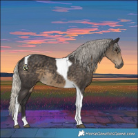 Horse Color:Silver Smoky Black Tobiano 