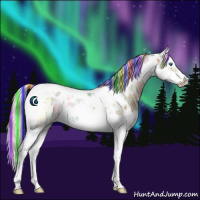 Horse Color:Painted White Spotted Silver Bay Ice Onyx Splash Tobiano 