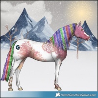 Horse Color:Painted Silver Bay Dun Tobiano