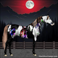 Horse Color:Painted White Spotted Black Ice Tobiano 
