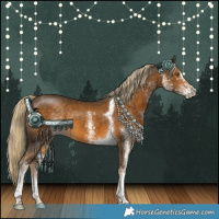 Horse Color:White Spotted Chocolate Palomino Tobiano 