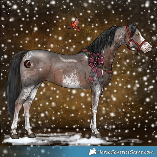 Horse Color:White Spotted Liver Chestnut 