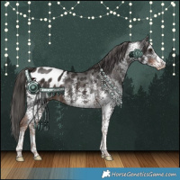 Horse Color:White Spotted Liver Chestnut Blanket 