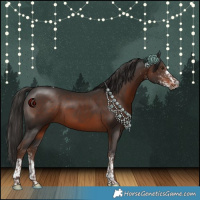Horse Color:White Spotted Liver Chestnut Tobiano 