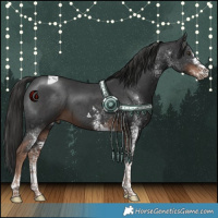 Horse Color:White Spotted Liver Chestnut Tobiano 