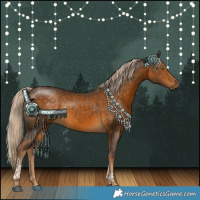 Horse Color:Chocolate Palomino Tobiano Rabicano 