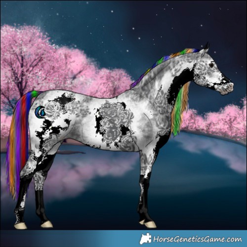 Horse Color:Painted White Spotted Black Ice 