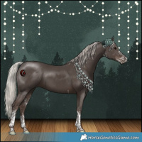 Horse Color:White Spotted Silver Black Tobiano 