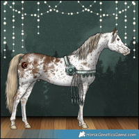 Horse Color:White Spotted Chocolate Palomino 
