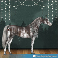 Horse Color:White Spotted Silver Brown 
