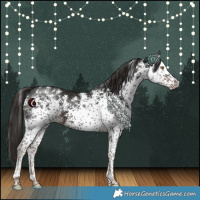 Horse Color:White Spotted Liver Chestnut 