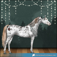 Horse Color:White Spotted Liver Chestnut Sabino 