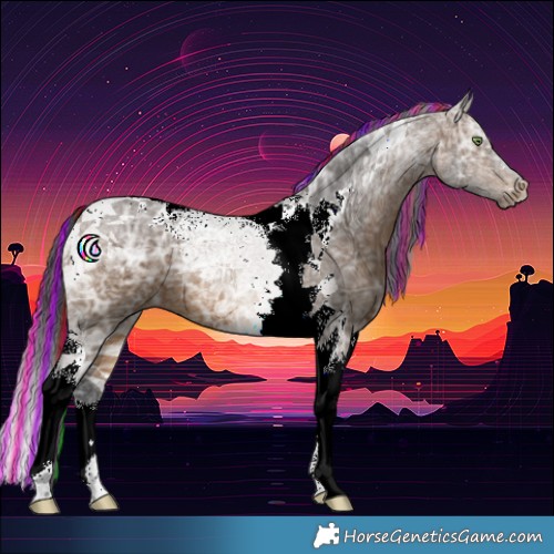 Horse Color:Painted Bay Ice Tobiano 