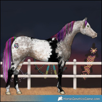Horse Color:Painted Bay Ice Tobiano