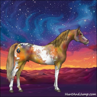 Horse Color:Nacre Brown Tobiano 