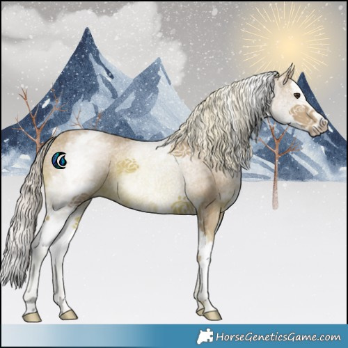 Horse Color:Watercolor White Spotted Chestnut Splash 