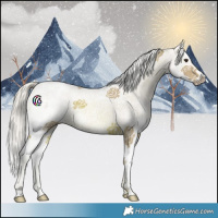 Horse Color:Watercolor White Spotted Chestnut Splash