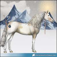 Horse Color:Watercolor White Spotted Chestnut Splash 