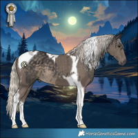 Horse Color:Silver Smoky Black Tobiano and Silver Smoky Black Tobiano