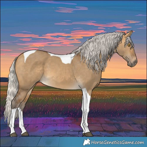 Horse Color:Silver Buckskin Dun Tobiano 
