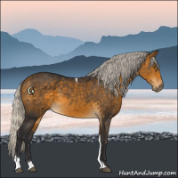Horse Color:Silver Buckskin Tobiano 
