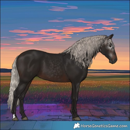 Horse Color:Gray Silver Brown 