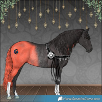 Horse Color:Smoky Black Rabicano 