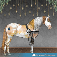 Horse Color:White Spotted Bay Pearl Splash Appaloosa 