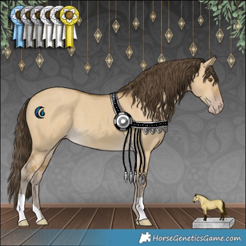 Horse Color:Classic Cream Champagne Dun 