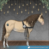 Horse Color:Classic Cream Champagne Dun 