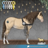 Horse Color:Classic Cream Champagne Dun 