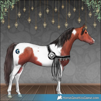 Horse Color:Bay Tobiano 