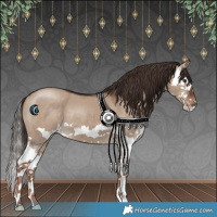 Horse Color:Liver Red Dun Splash 