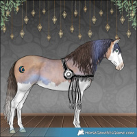 Horse Color:Amber Champagne Splash 