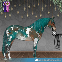 Horse Color:Painted White Spotted Brown
