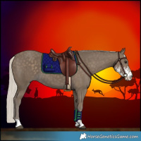 Horse Color:Silver Smoky Black Sabino 